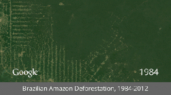 Brazilian-Amazon-Deforestation-thumb-650x364-120978
